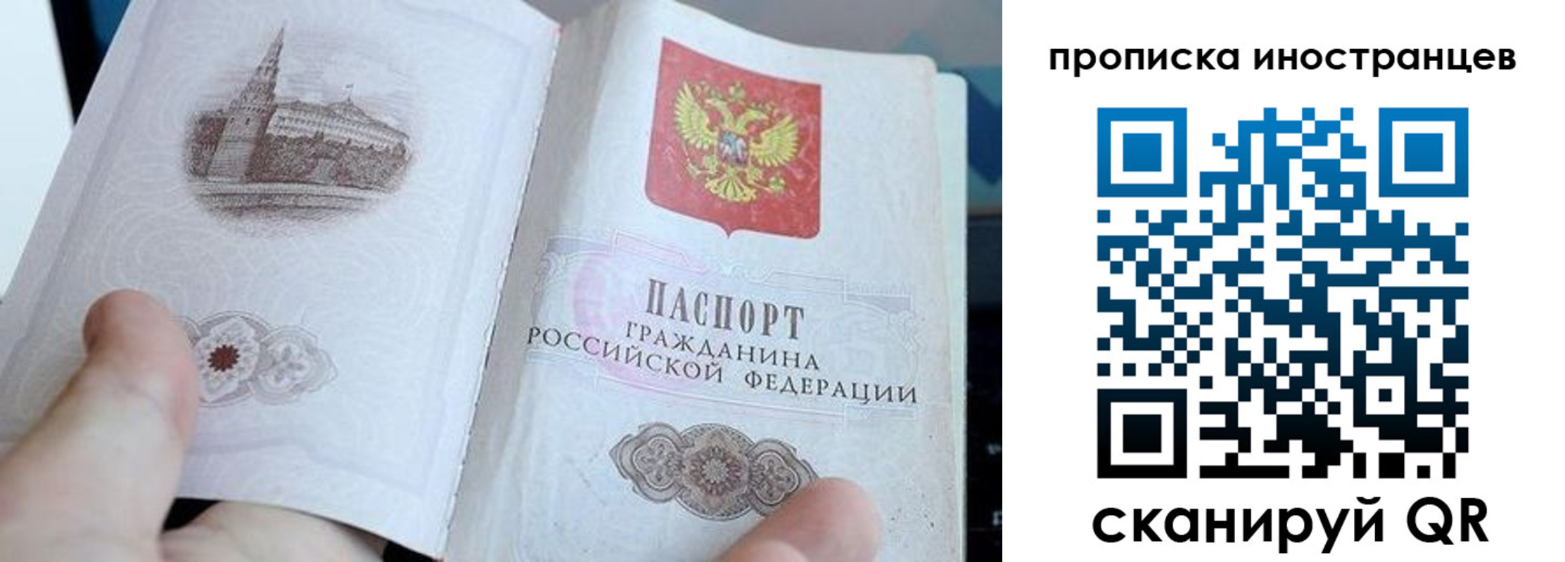 прописка поиск в Лодейном Поле